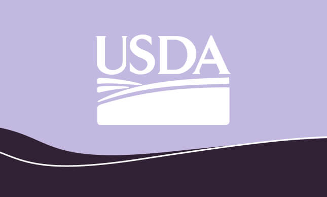 Applying-for-the-USDA-RUS-DLT-Grant